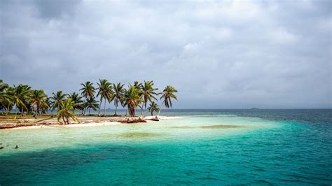 Download Wallpaper sea, tropics, palm trees, shore, Panama, section ...