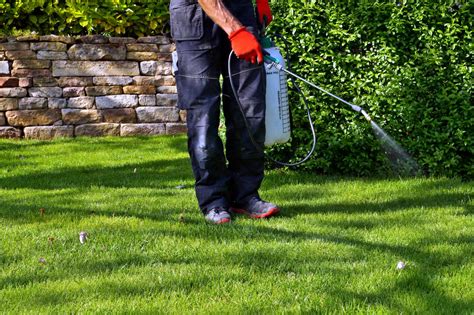 Perimeter Pest Control | Superior Lawn Care