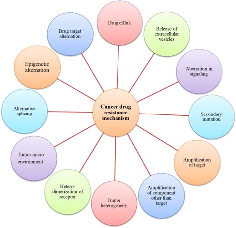 Different mechanisms involved in anticancer drug resistance. Cancer ...