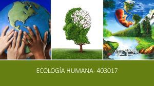 Calaméo - Revista Ecología Humana- 403017