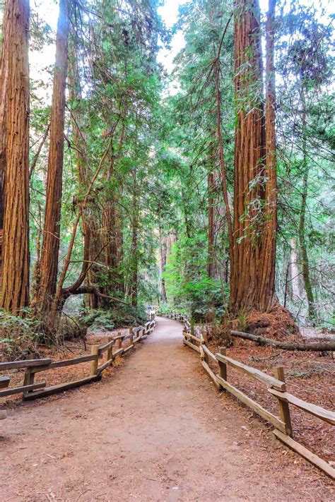 Muir Woods National Monument