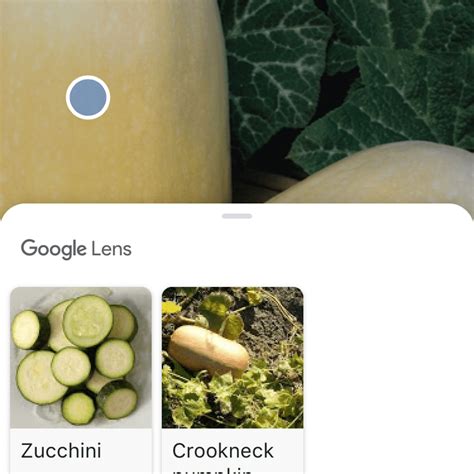 How to Use Google Lens on iPhone