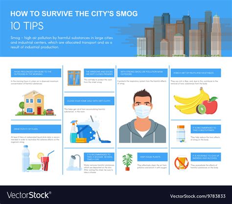 Smog infographic how to Royalty Free Vector Image