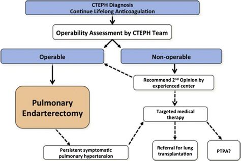 CTEPH treatment algorithm proposed at the 5th World Symposium on... | Download Scientific Diagram