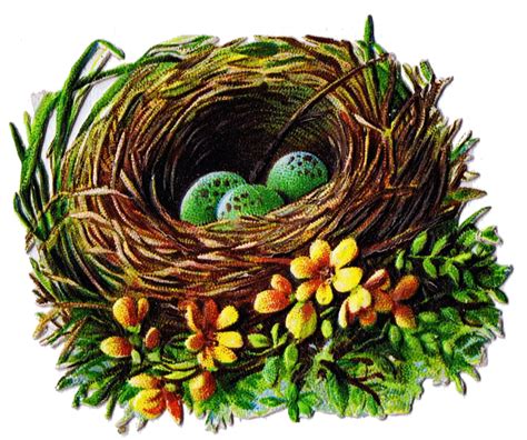 Bird Nest and Egg Graphics - 5 Antique Die Cut Images - Knick of Time