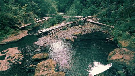 THE 15 BEST Things to Do in Estacada (2024) - Must-See Attractions