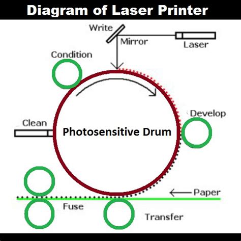 Working of Laser Printer with Diagram | Laser Printing Process and Components