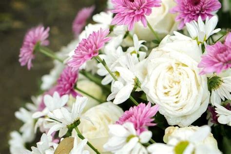 Memorial Flowers Stock Photos, Images and Backgrounds for Free Download