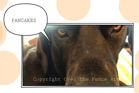 Funny Dog Wants Pancakes Photo Greeting Card - Etsy