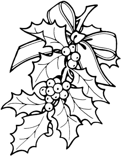 Christmas Holly Coloring Pages 1 | Purple Kitty