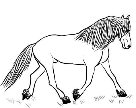 Friesian Horse coloring page | Horse coloring, Horse coloring pages, Horse coloring books