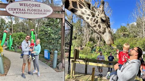 A Wild Day At The Central Florida Zoo In Sanford! Feeding A Giraffe ...