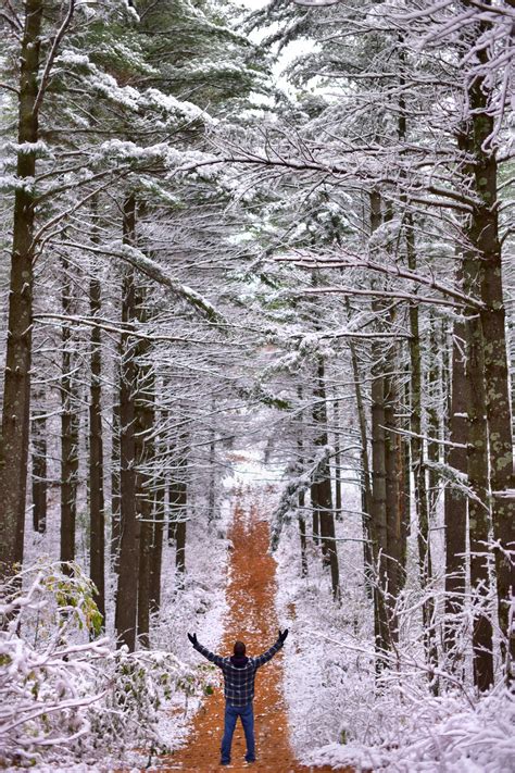 minnesota landscape photographer_0544 – Into the Wild We Go