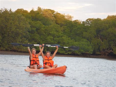 Wildlife Kayaking Tour at Las Baulas National Park • Localbird