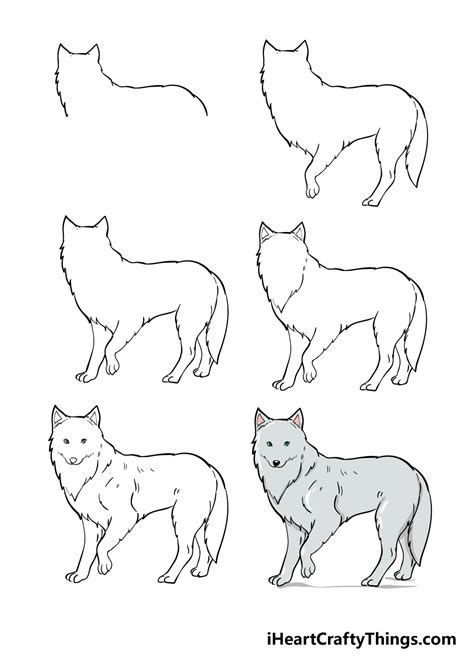 Arctic Fox Drawing - How To Draw An Arctic Fox Step By Step