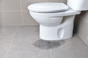 Bathroom Flood Risks: Prevention and Mold Considerations - Restroom Stalls and All