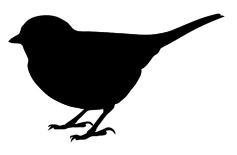 12+ Bird clipart black and white free collection