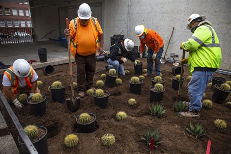 Oakland Museum of California to open for first time in 8 months | Datebook