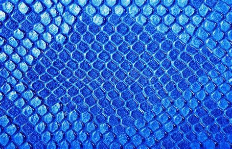 Blue Snake Skin, As a Background Stock Photo - Image of material ...