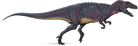 http://images.dinosaurpictures.org/Orkoraptor_a0ab.jpg | Prehistoric ...