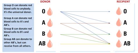 blood types - North DelaWHERE Happening