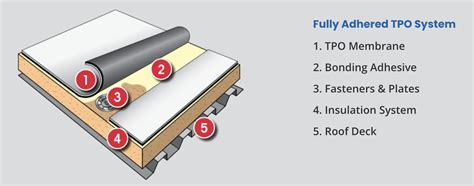 A Brief Guide to TPO Roofing - Maven Roofing