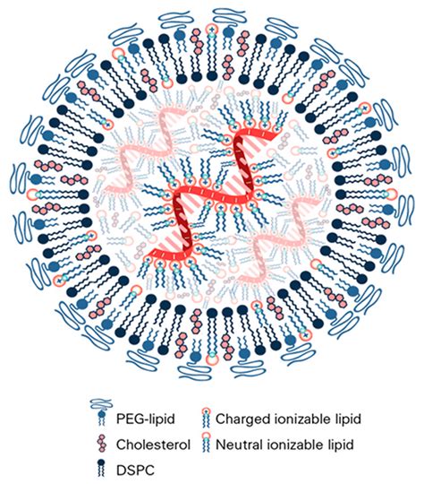 Lipid Nanoparticles (LNPs) | ABP Biosciences