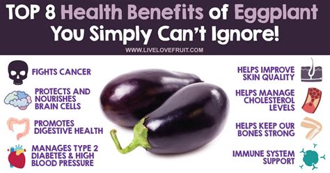 Top 8 Health Benefits of Eggplant You Simply Can't Ignore! | Eggplant ...