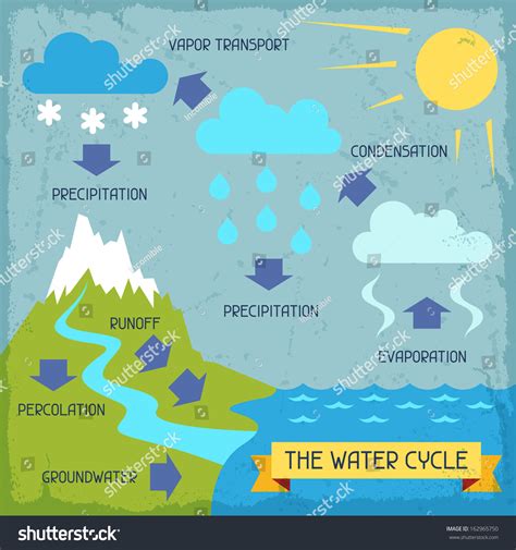 Water Cycle Poster Nature Infographics Flat Stock Vector (Royalty Free ...