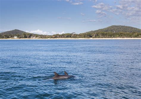 Nelson Bay, NSW - Things To Do, Accommodation, Beaches & Events