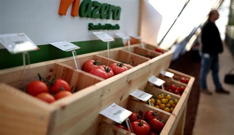 Israel’s Hazera: From Tomato Seeds to International Growth - Business - Haaretz.com