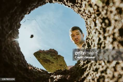 557 Excavator Digging Hole Stock Photos, High-Res Pictures, and Images - Getty Images