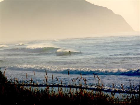 Wainui Beach - Whales Surf Forecast and Surf Reports (Gisborne and Mahia, New Zealand)