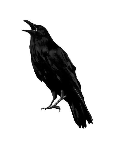 Raven Bird PNG Transparent Image - PNG Mart