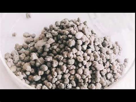 Tsp fertilizer Triple Phosphate Fertilizer - YouTube