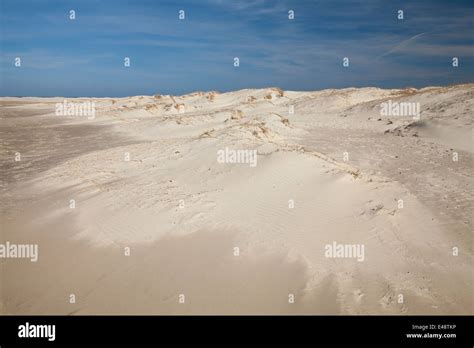 Frisian beaches hi-res stock photography and images - Alamy