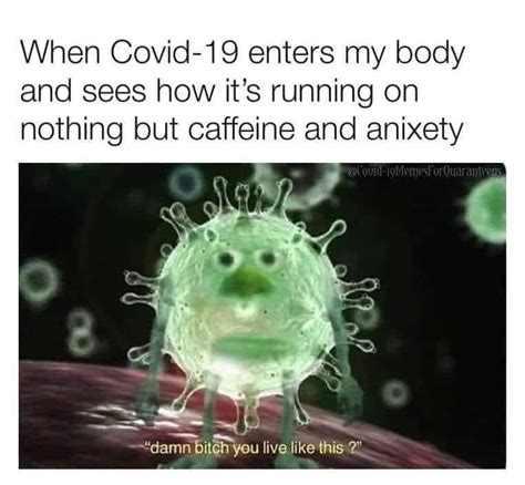 And some PTSD sprinkles | /r/CoronavirusMemes | COVID-19 Pandemic | Know Your Meme