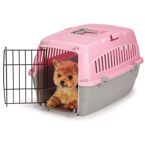 Carry Me Plastic Dog Crate, Pink, Small, 23"L x 14"W x 8"H - Walmart.com - Walmart.com