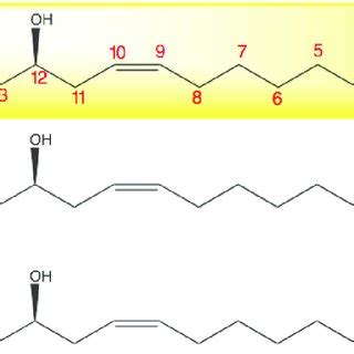 Chemical structure of ricinoleic acid, the primary component of castor... | Download Scientific ...