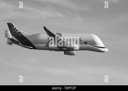 Airbus new Beluga XL landing for the first time at Hawarden airport Stock Photo - Alamy