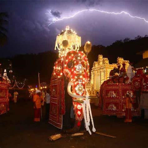 Story of Kandy Esala Perahera | World heritage sites, Kandi, History