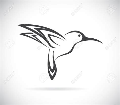 free hummingbird clipart black and white 10 free Cliparts | Download images on Clipground 2024