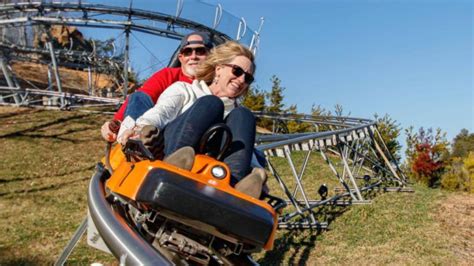 Top 4 Mountain Coasters in Gatlinburg and Pigeon Forge - Colonial Properties