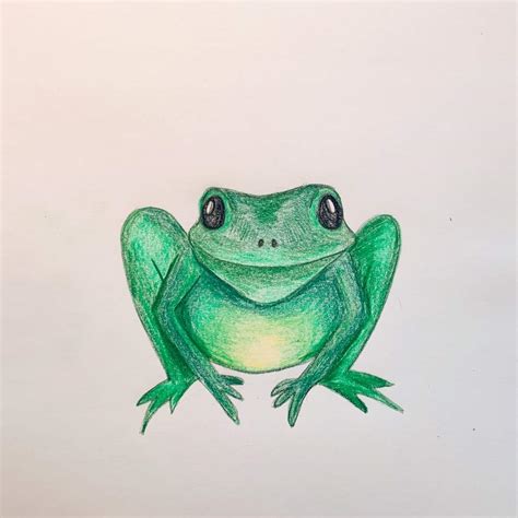 How To Draw A Realistic Frog Step By Step