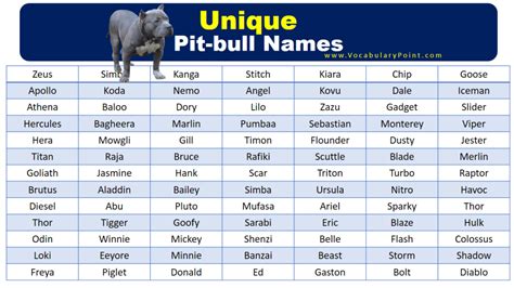 Best Unique Pitbull Names - Vocabulary Point