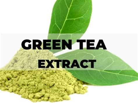 Green Tea Extract: what it is, beneficial effects, side effects and more