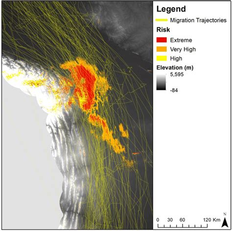 19. Swainson's hawk migration through regions of high to extreme risk ...