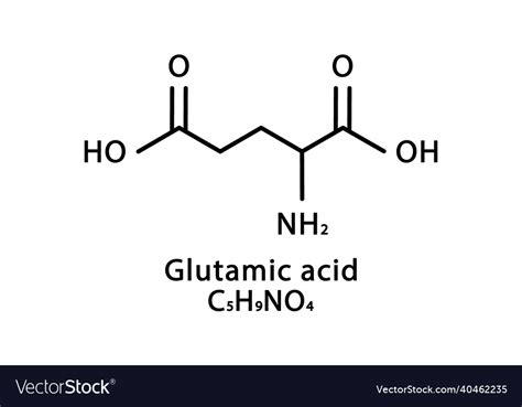 Glutamic acid molecular structure glutamate Vector Image