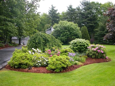 Landscaping with Evergreens in 2020 | Japanese garden landscape, Front yard garden, Backyard ...