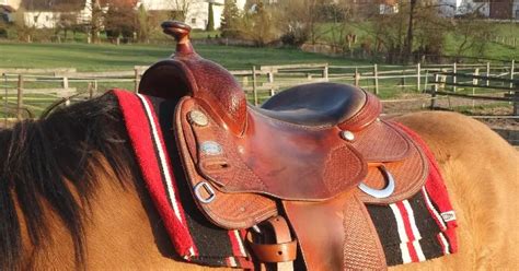 12 Best Western & English Saddle Brands